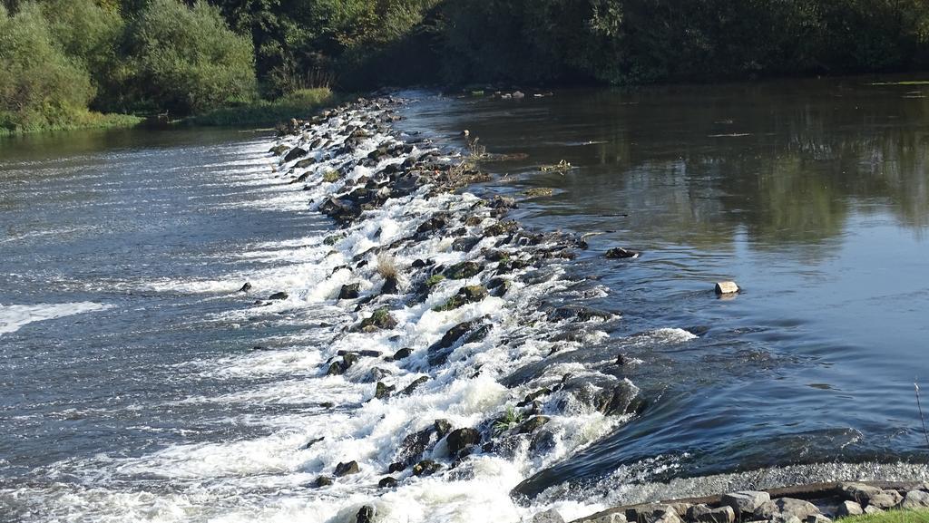 Pension Zur Sonne Wittenweier Schwanau Buitenkant foto